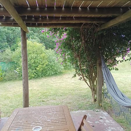 הוילה Piriápolis Casas Punta Negra מראה חיצוני תמונה