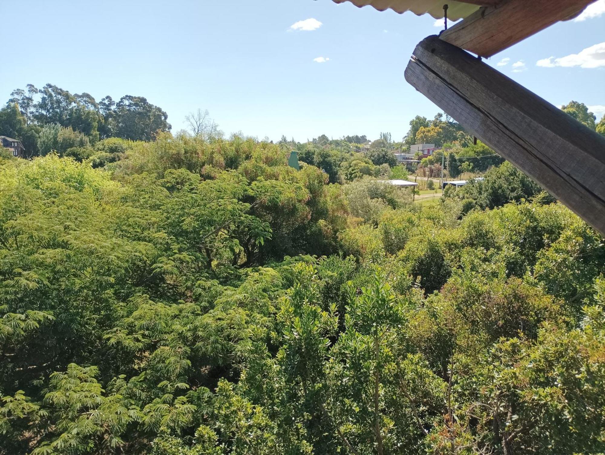 הוילה Piriápolis Casas Punta Negra מראה חיצוני תמונה
